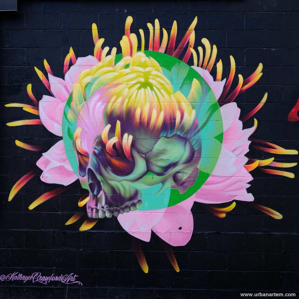 Asheville Street Art