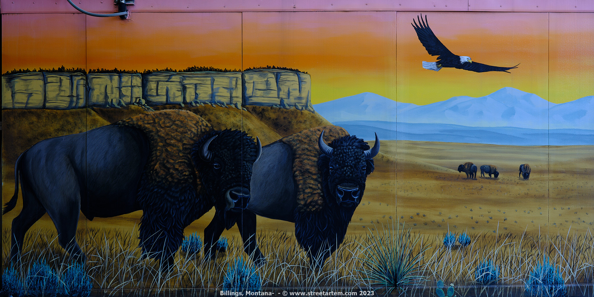 Billings Montana Street Art