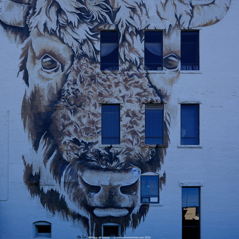 Montana Street Art