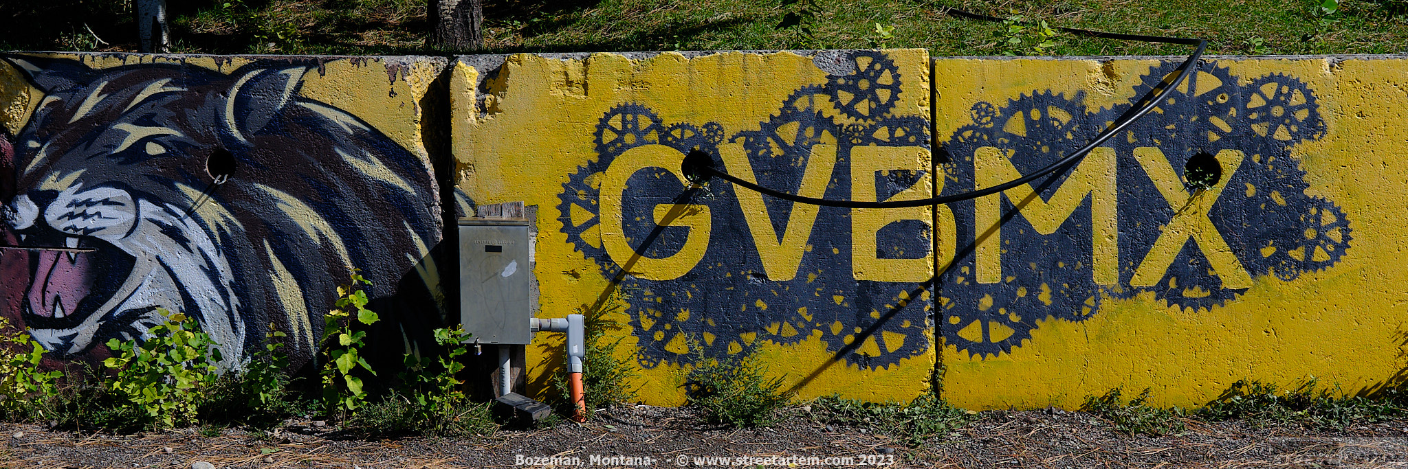 Bozeman Montana Street Art